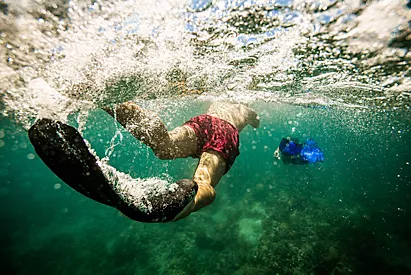 aja p 5940 31 aja p 5940 31