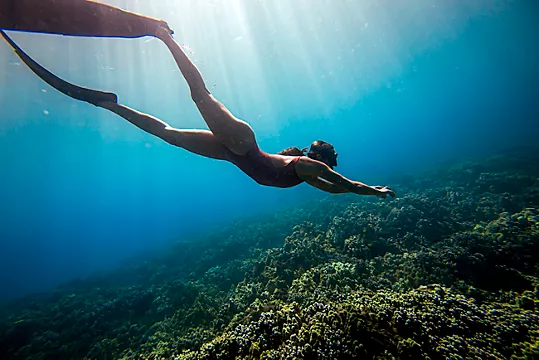 aja p 6301 50 aja p 6301 50