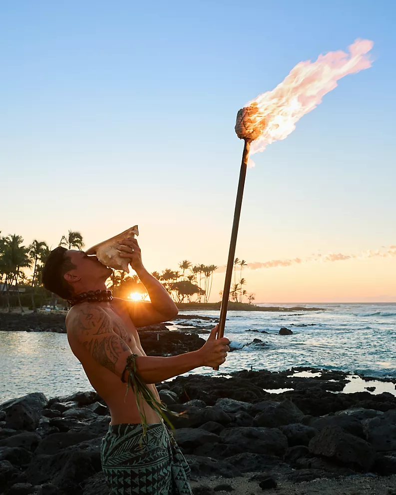 met p a049 93 8by10 met p a049 93 8by10